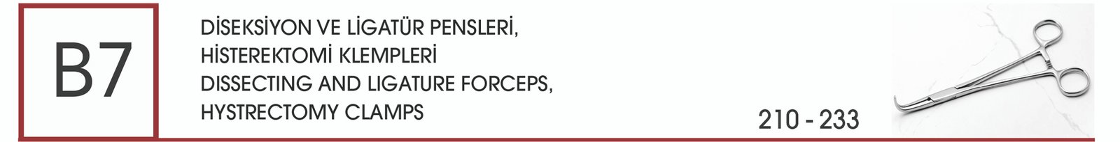 0000_0000_vorspann.qxp